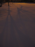 Preview - Click to zoom